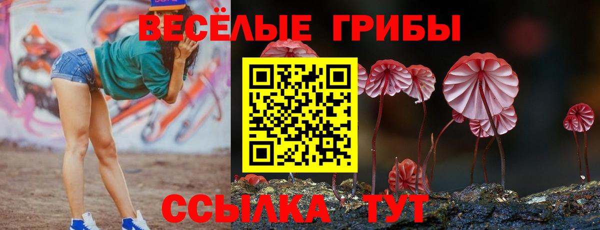 Галлюциногенные грибы мицелий Гусев